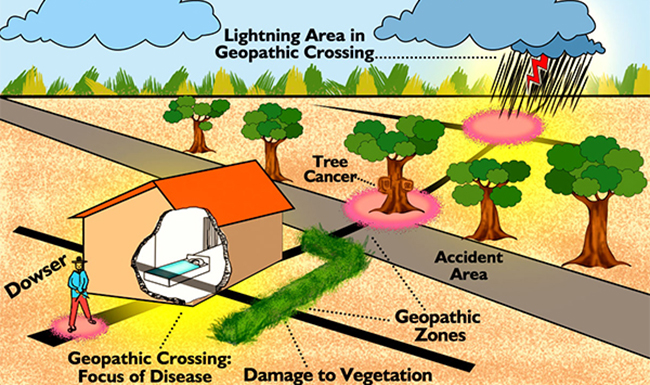 geopathic rod in tamilnadu