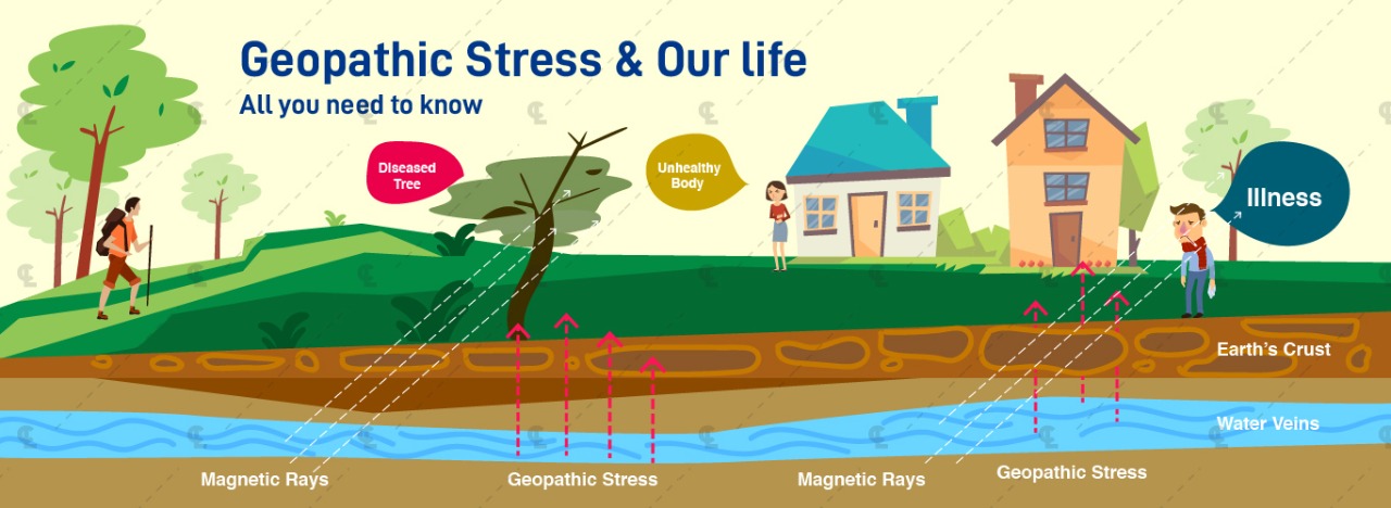 geopathic stress finder in tamilnadu
