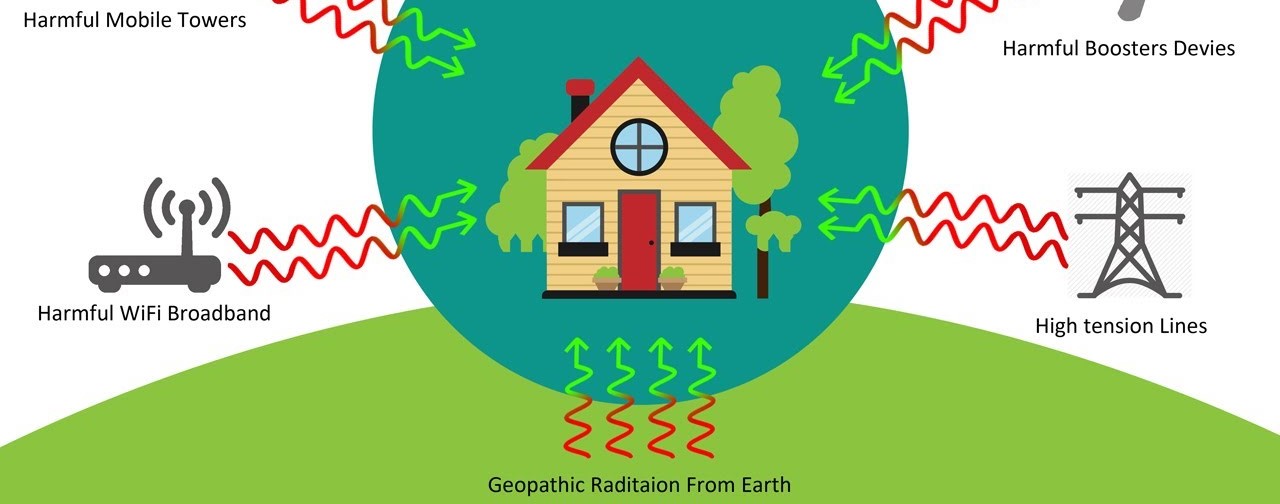 geopathic rod in tamilnadu